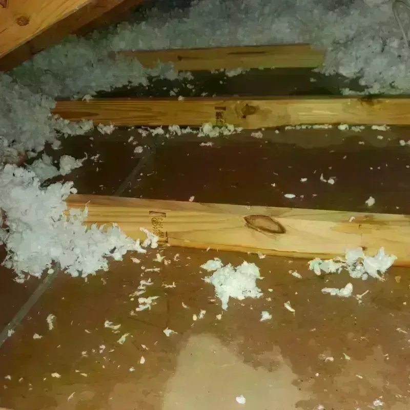 Attic Water Damage in Pandora, OH