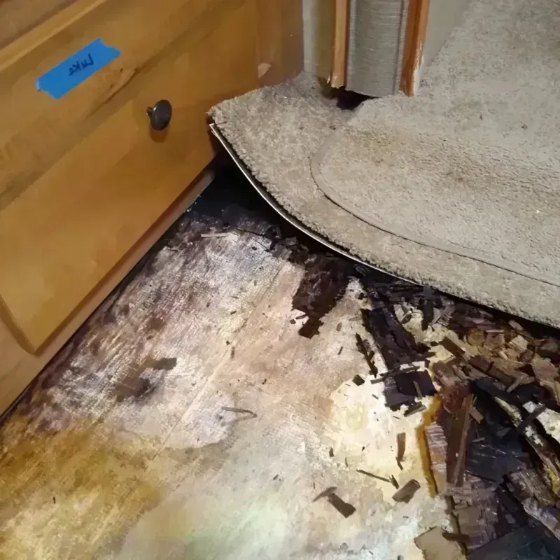 Wood Floor Water Damage in Pandora, OH